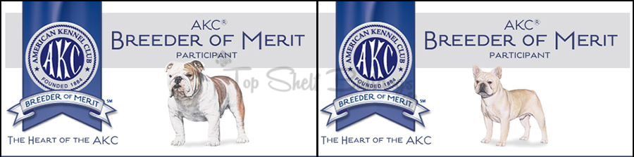 akc-breeder-merit